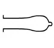 Special Form